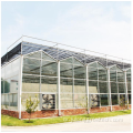 التجاري متعدد الكربونات في Venlo Polycarbonate